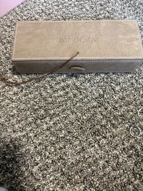Pandora Taupe Travel Jewelry Case